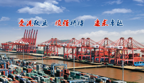 舟山证券(舟山证券公司一览表)