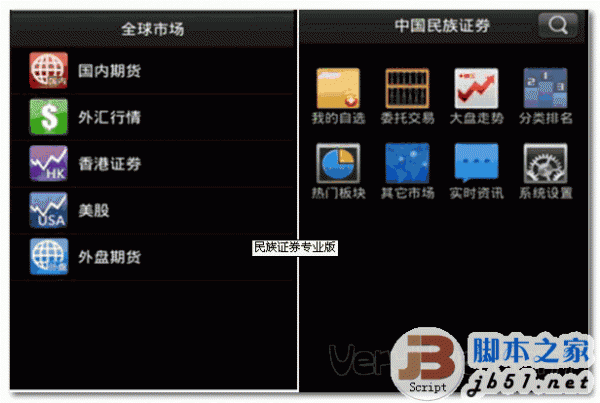 民族证券专业版(民族证券专业版下载)