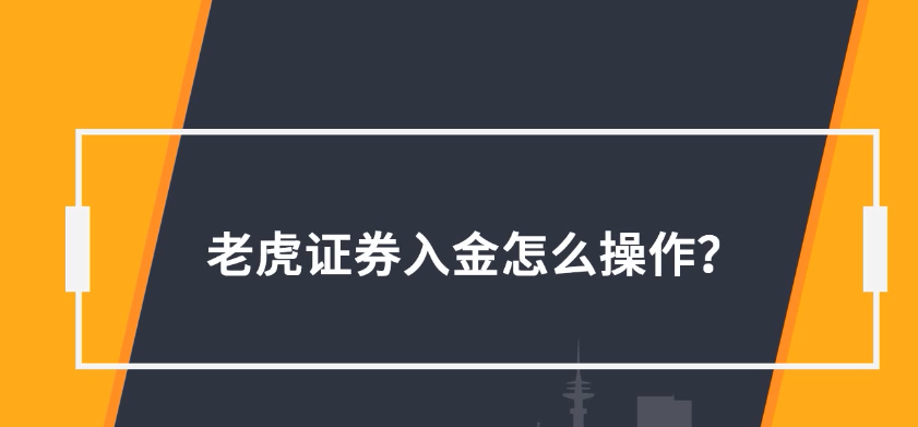 老虎证券官网(老虎证券官网app下载)